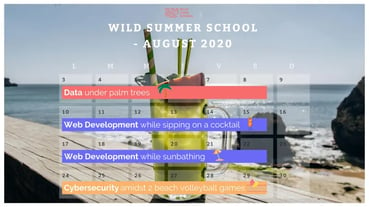 L’été s’annonce palpitant avec la Wild Summer School !