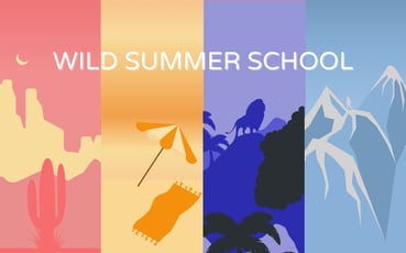 Wild Summer School 2021 : un mois pour se former gratuitement à la tech