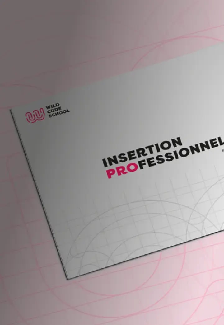 rapport-insertion-pro